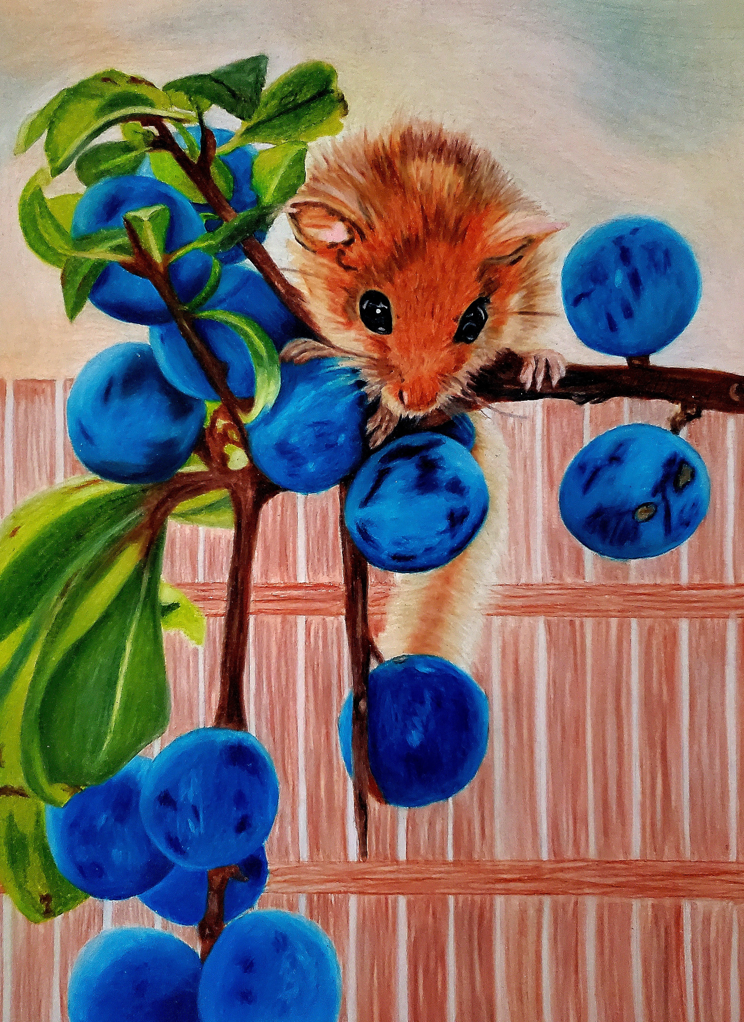 Original Colored Pencil Artwork